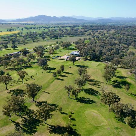 Quirindi Sunflower Motor Inn Bagian luar foto