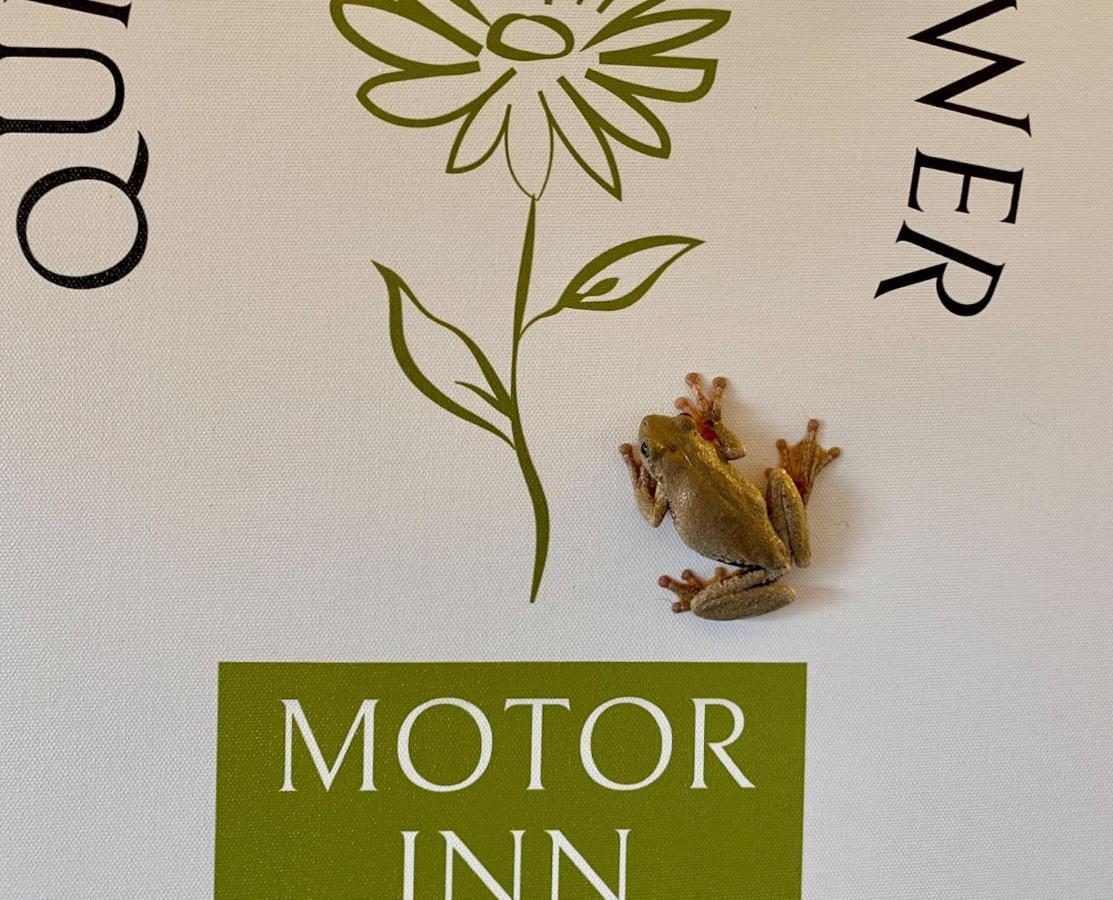 Quirindi Sunflower Motor Inn Bagian luar foto