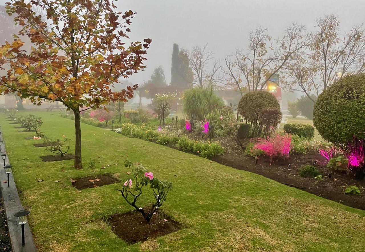 Quirindi Sunflower Motor Inn Bagian luar foto